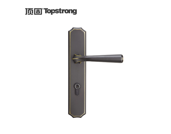 顶固哥特中插芯锁