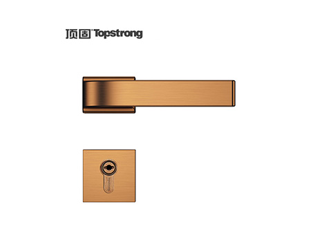 顶固凌云分体中插芯锁