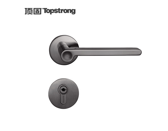 顶固原素中插芯锁