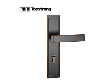 顶固明镜系列中插芯锁