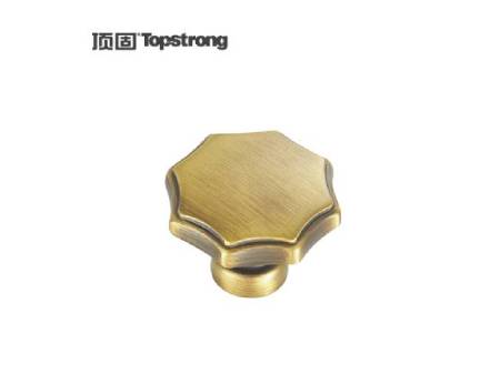 顶固铜拉手AJCL231